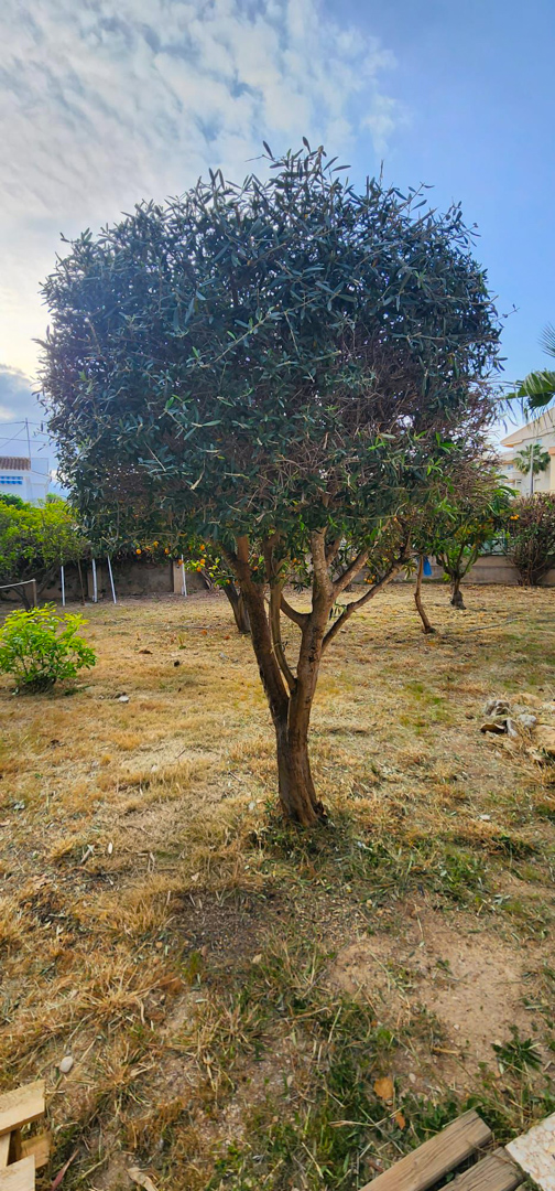 4664ALB Geschakelde woning te koop op 200 m van het strand in Albir
