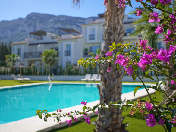 C4XY8346DEN Appartement te koop in Denia.